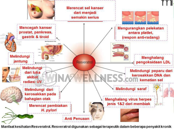 Anti-Aging, Awet Muda, Bertam, Kesihatan Badan, Kesihatan Kecantikan, Pengedar Shaklee Butterworth, pengedar shaklee kepala batas, Pengedar shaklee penang, pengedar shaklee sungai petani, Testimoni Kesihatan Badan, Testimoni Kesihatan Kecantikan, Testimoni Pengguna, Vivix Shaklee,Harga Vivix Shaklee