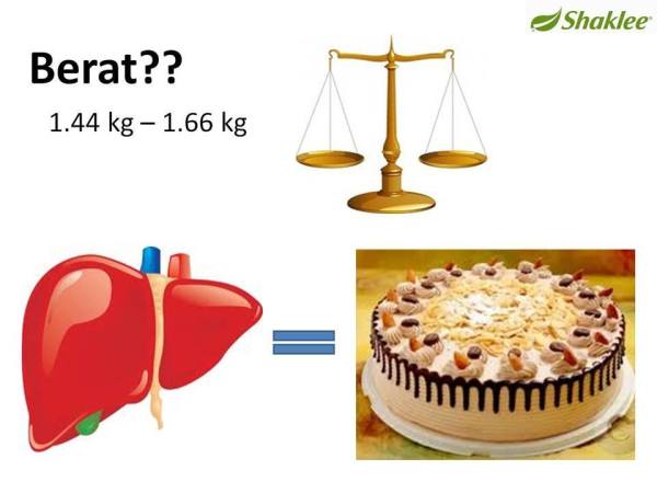 Pengedar Shaklee kepala batas,shaklee bertam,shaklee sungai petani,shaklee bukit mertajam,shaklee butterworth,shaklee penang,shaklee kedah,shaklee utara,shaklee perak,shaklee nibong tebal,shaklee seberang perai,shaklee bertam,shaklee bertam putra ,shaklee bertam perdana,Shaklee prai,Shaklee penaga,Shaklee Bandar perda,shaklee indonesia ,shaklee taiwan,shaklee sabah,shaklee malaysia,shaklee penaga   