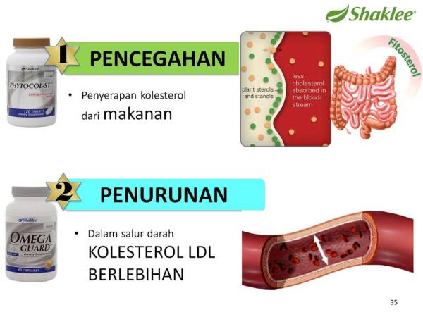 Pengedar Shaklee kepala batas,shaklee bertam,shaklee sungai petani,shaklee bukit mertajam,shaklee butterworth,shaklee penang,shaklee kedah,shaklee utara,shaklee perak,shaklee nibong tebal,shaklee seberang perai,shaklee bertam,shaklee bertam putra ,shaklee bertam perdana,Shaklee prai,Shaklee penaga,Shaklee Bandar perda,shaklee indonesia ,shaklee taiwan,shaklee sabah,shaklee malaysia,shaklee penaga