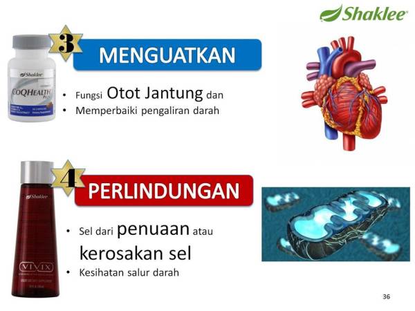 Pengedar Shaklee kepala batas,shaklee bertam,shaklee sungai petani,shaklee bukit mertajam,shaklee butterworth,shaklee penang,shaklee kedah,shaklee utara,shaklee perak,shaklee nibong tebal,shaklee seberang perai,shaklee bertam,shaklee bertam putra ,shaklee bertam perdana,Shaklee prai,Shaklee penaga,Shaklee Bandar perda,shaklee indonesia ,shaklee taiwan,shaklee sabah,shaklee malaysia,shaklee penaga   