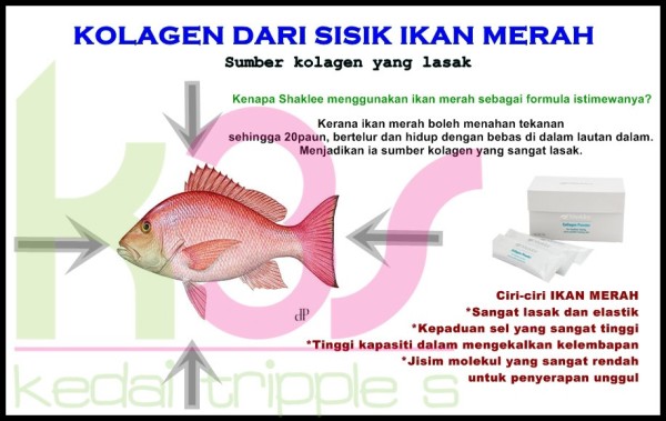 Pengedar Shaklee kepala batas,shaklee bertam,shaklee sungai petani,shaklee bukit mertajam,shaklee butterworth,shaklee penang,shaklee kedah,shaklee utara,shaklee perak,shaklee nibong tebal,shaklee seberang perai,shaklee bertam,shaklee bertam putra ,shaklee bertam perdana,Shaklee prai,Shaklee penaga,Shaklee Bandar perda,shaklee indonesia ,shaklee taiwan,shaklee sabah,shaklee malaysia,shaklee penaga   