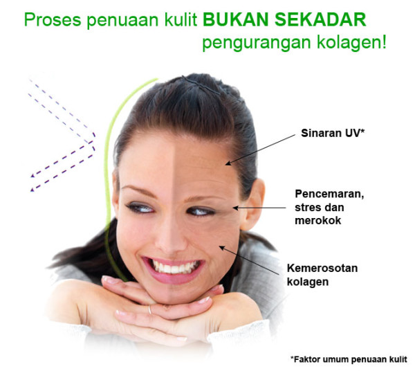 Pengedar Shaklee kepala batas,shaklee bertam,shaklee sungai petani,shaklee bukit mertajam,shaklee butterworth,shaklee penang,shaklee kedah,shaklee utara,shaklee perak,shaklee nibong tebal,shaklee seberang perai,shaklee bertam,shaklee bertam putra ,shaklee bertam perdana,Shaklee prai,Shaklee penaga,Shaklee Bandar perda,shaklee indonesia ,shaklee taiwan,shaklee sabah,shaklee malaysia,shaklee penaga   