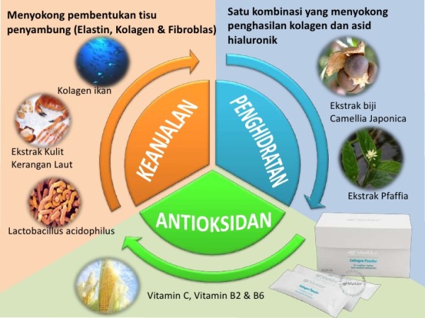 Pengedar Shaklee kepala batas,shaklee bertam,shaklee sungai petani,shaklee bukit mertajam,shaklee butterworth,shaklee penang,shaklee kedah,shaklee utara,shaklee perak,shaklee nibong tebal,shaklee seberang perai,shaklee bertam,shaklee bertam putra ,shaklee bertam perdana,Shaklee prai,Shaklee penaga,Shaklee Bandar perda,shaklee indonesia ,shaklee taiwan,shaklee sabah,shaklee malaysia,shaklee penaga   