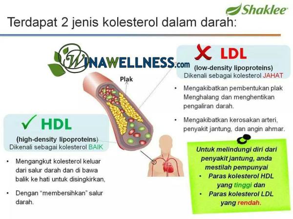 kolestrol tinggi, penyakit jantung, tips kurangkan kolestrol ,phytocol shaklee ,Shaklee kepala batas, shaklee bertam,shaklee bertam perdana, shaklee bertam putra , shaklee pulau pinang, shaklee penaga,shaklee sungai petani, shaklee seberang jaya, shaklee butterwoth, shaklee bukit mertajam, shaklee kedah, shaklee malaysia,tesimoni vivix,testimoni omega, testimoni phytocol, testimoni COQ10,testimoni penyakit jantung shaklee 