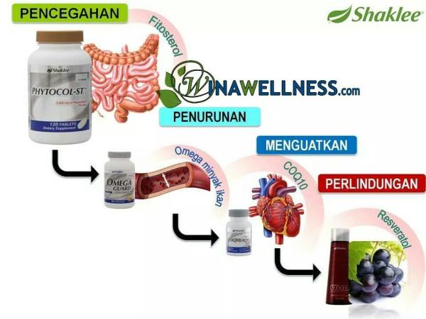 kolestrol tinggi, penyakit jantung, tips kurangkan kolestrol ,phytocol shaklee ,Shaklee kepala batas, shaklee bertam,shaklee bertam perdana, shaklee bertam putra , shaklee pulau pinang, shaklee penaga,shaklee sungai petani, shaklee seberang jaya, shaklee butterwoth, shaklee bukit mertajam, shaklee kedah, shaklee malaysia,tesimoni vivix,testimoni omega, testimoni phytocol, testimoni COQ10,testimoni penyakit jantung shaklee 