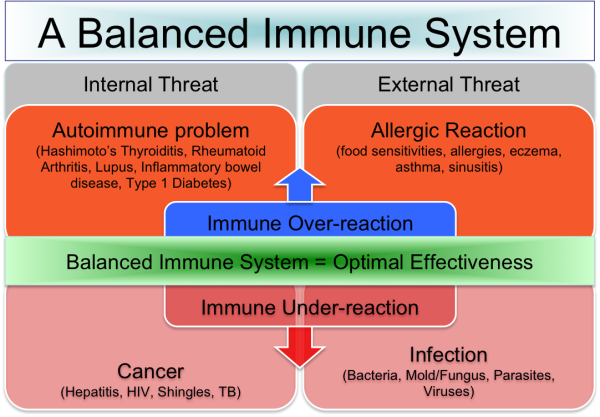 balanced-immune-system