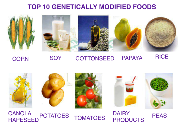 Nutrition-10-top-GMO-edit