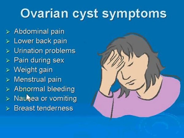 Set  rawatan fibroid  dan cyst Shaklee kepala batas, shaklee bertam,shaklee bertam perdana, shaklee bertam putra , shaklee pulau pinang, shaklee penaga,shaklee sungai petani, shaklee seberang jaya, shaklee butterwoth, shaklee bukit mertajam, shaklee kedah, shaklee malaysiaShaklee kepala batas, shaklee bertam,shaklee bertam perdana, shaklee bertam putra , shaklee pulau pinang, shaklee penaga,shaklee sungai petani, shaklee seberang jaya, shaklee butterwoth, shaklee bukit mertajam, shaklee kedah, shaklee malaysia,bahaya fibroid dan cyst