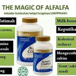 13 vitamin dan mineral dalam sebiji Alfalfa