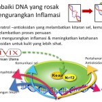 Shaklee Bertam:Tiada Lagi Rambut Gugur Selepas Minum Vivix