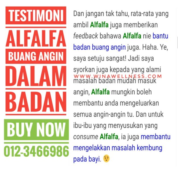 Testimoni Alfalfa Complex Buang Angin Dalam Badan 