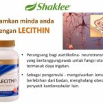 Pengedar Aktif Shaklee Kepala Batas : Lechitin Bagus Untuk Ibu Mengandung