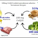 Pengedar Aktif Shaklee Bertam dan Kepala Batas :Mengapa CoQ10 Penting Kepada Badan Manusia? 