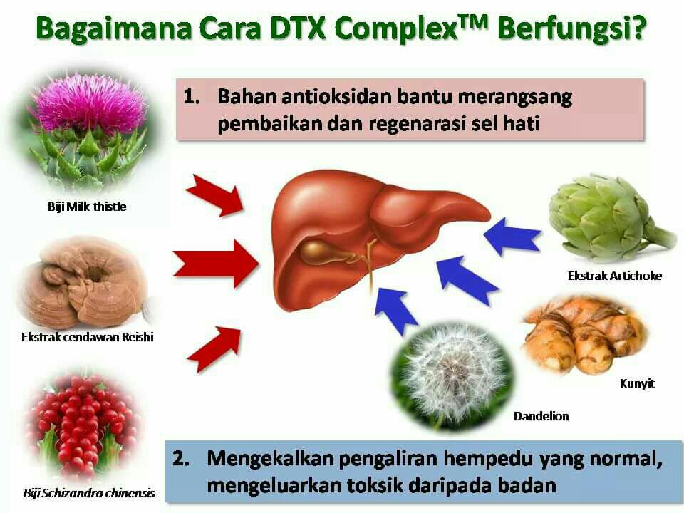 Pengedar Shaklee Kepala Batas:Detox Hati Dengan DTX Shaklee