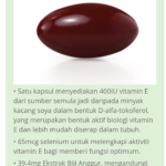 Vitamin E Jenama Apa Paling Berkesan ?