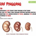 9 TANDA-TANDA AWAL PENYAKIT BUAH PINGGANG