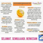 Mengapa Vitamin C Shaklee Ada Bioflavaniods?-Pengedar Shaklee Penang