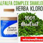 Alfalfa Herba Yang Kaya Nutrien