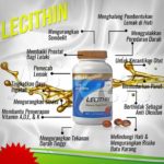 Ready Stok Lecithin Shaklee Bertam:Kebaikan Lecithin Shaklee