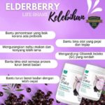 Elderberry Life Shake Shaklee