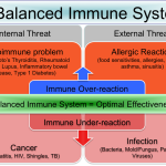 Nutrisi untuk Sistem Imun