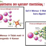 11 tanda-tanda amaran kanser