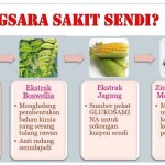 Testimoni Shaklee:Vitamin untuk sakit sendi dan lutut