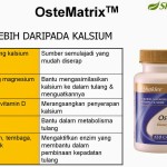 Shaklee Penang:Kalsium Yang Berkesan