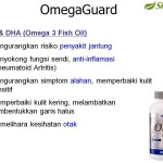 Shaklee Bertam:Kenapa Omega penting untuk minda?