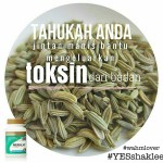 Shaklee Penang :Herba Rawatan Usus