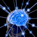 Shaklee Kepala Batas: Lechitin Untuk Sel Otak Berkembang