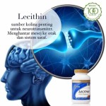 Shaklee Penang:Lechitin Bantu Kuatkan Ingatan