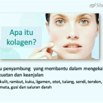 Shaklee Kepala Batas:Mengapa Kolagen Dalam Badan Mudah Rosak