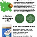 Shaklee Penang:Apa Itu GMO?