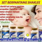 Set Berpantang Shaklee