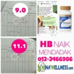 Makan Set Hamil Shaklee HB naik dengan cantik