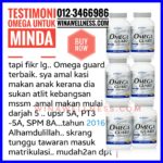 Mengapa Omega Atau Minyak Ikan Penting Untuk Minda?