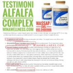 Testimoni Alfalfa Complex Shaklee Paling Berkesan