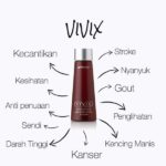 Vivix Nutrisi Untuk Kolestrol