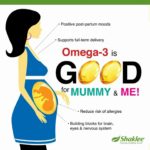 Omega Sangat Baik Untuk Ibu Hamil