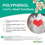 7 Kebaikan Polifenol Dalam Vivix Shaklee