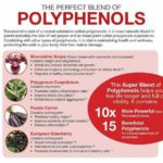 Apakah Kebaikan Polifenol