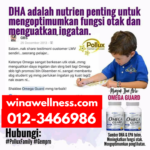 Nutrisi Yang Baik Untuk Minda Anak