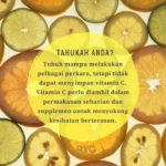 Vitamin C Sebagai  Antioksida Terbaik-Pengedar Shaklee Penang