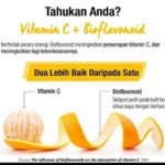 Apakah Fungsi Bioflavoniods Dalam Vitamin C Shaklee?-Pengedar Shaklee Penang