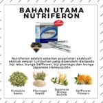 Bagaimana Nutriferon Shaklee Membantu Meningkatkan Imun Sistem Badan