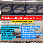 Vitamin Yang Bantu Kuatkan Imun Sistem – Pengedar Shaklee Bertam Kepala Batas